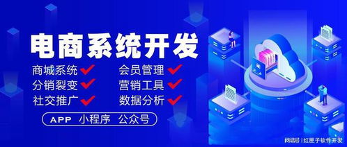 電商平臺系統開發 電商軟件定制方案